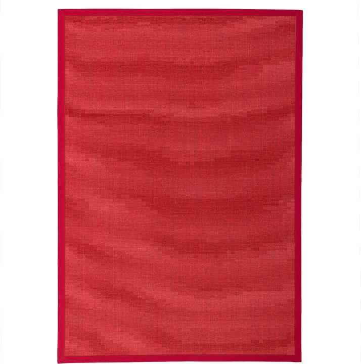 Actual product image Pergamon Sisal carpet Natura Classic with border (200 x 250 cm)