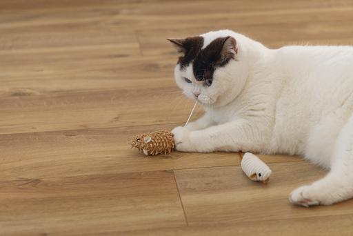 Immagine prodotto Beeztees Katzenspielzeug Eco Maus Seerp (Catmint giocattolo)