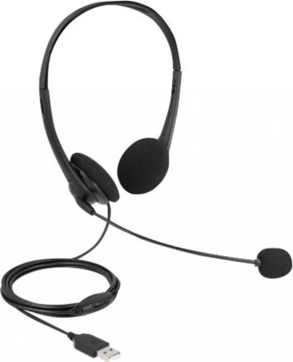 Actual product image Delock USB Stereo Headset with Volume Control for PC and Notebook (Cable, USB-A)