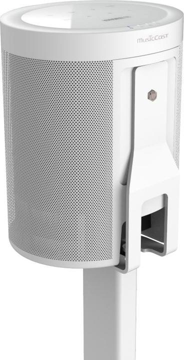 Actual product image Cavus CMY20W (Wall installation, Not movable)