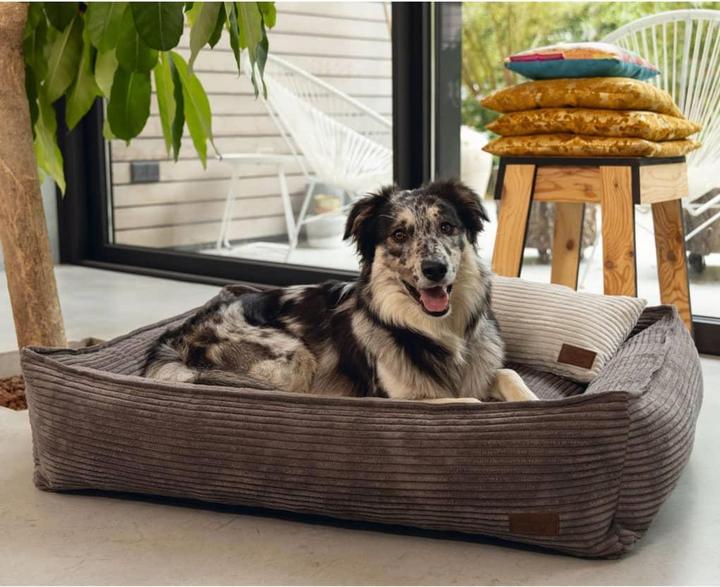 Productafbeelding Designed by Lotte Geribbeld (Hond)