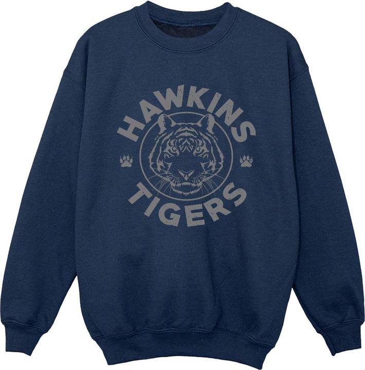 Immagine prodotto Netflix Stranger Things Hawkins Grey Tiger Felpa Ragazzi (128)