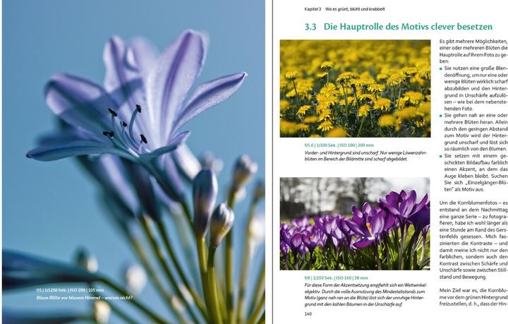 Produktbild Bessere Fotos - leicht gemacht! (Deutsch, Beate Zoellner, 2015)