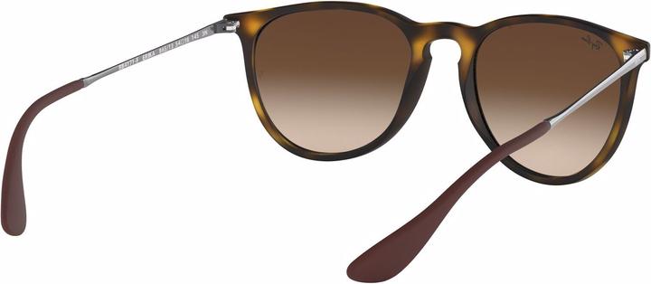 Image du produit Ray Ban Erika