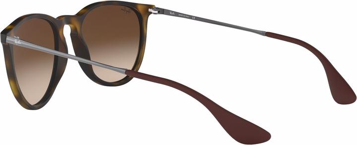 Image du produit Ray Ban Erika
