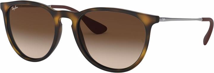 Ray Ban Erika