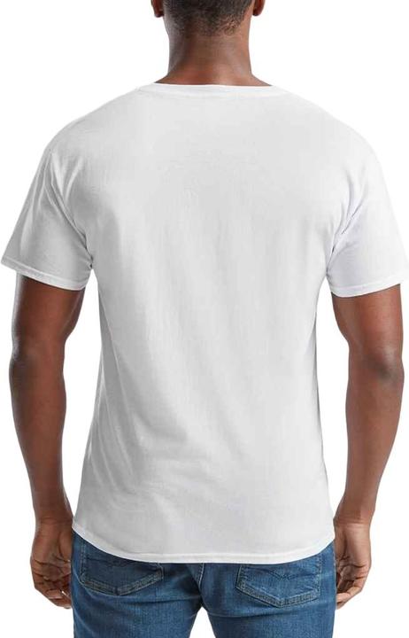 Actual product image Fruit of the Loom Mens Original V Neck T-Shirt (S)