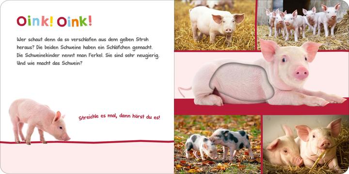 Produktbild Hör mal rein, wer kann das sein - Im Stall (Deutsch)