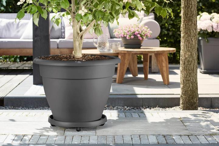 Immagine prodotto Elho Sottobicchiere con ruote 30 cm antracite