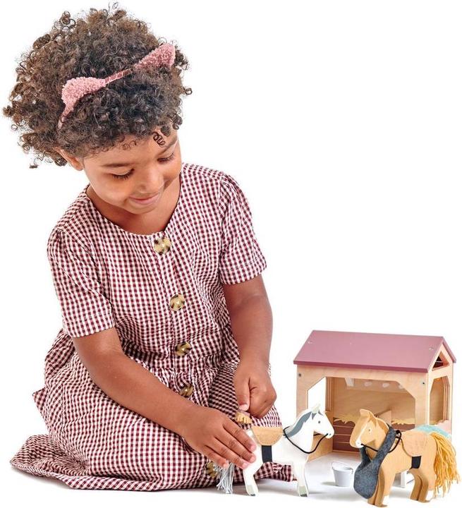 Immagine prodotto Tender Leaf Toys Set stabile