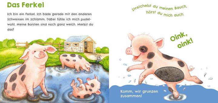 Produktbild Hör mal, wie ich schnattern kann (Mein erstes Streichel-Soundbuch 1) (Deutsch)