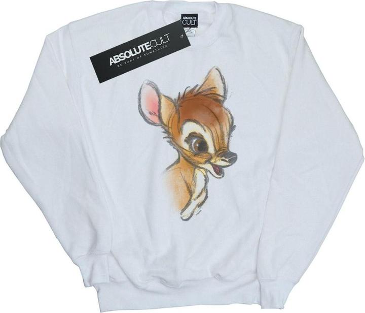 Actual product image Disney Boys Bambi Drawing Sweatshirt (116)