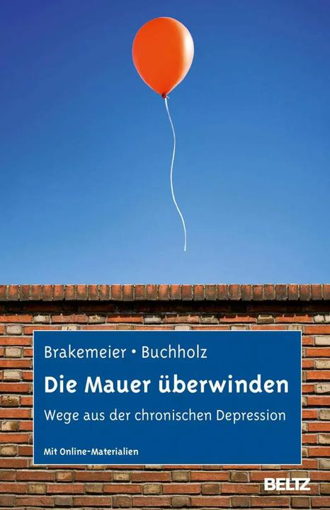 Produktbild Die Mauer überwinden (Deutsch, Eva-Lotta Brakemeier, Angela Buchholz, 2013)