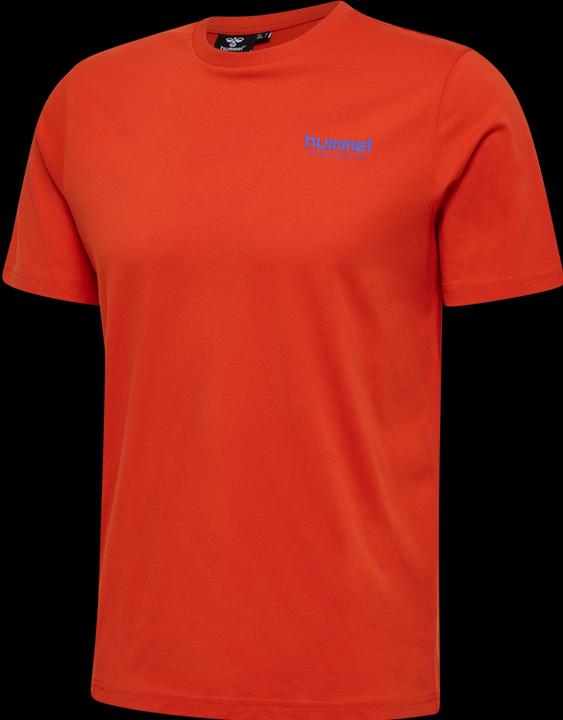 Actual product image hummel Lgc Jose T-Shirt (M)