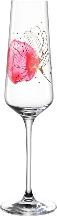 Actual product image Leonardo Champagne glass Presente 220 ml, 1 piece, Transparent (22 cl, 1 Glasses, Champagne glasses)