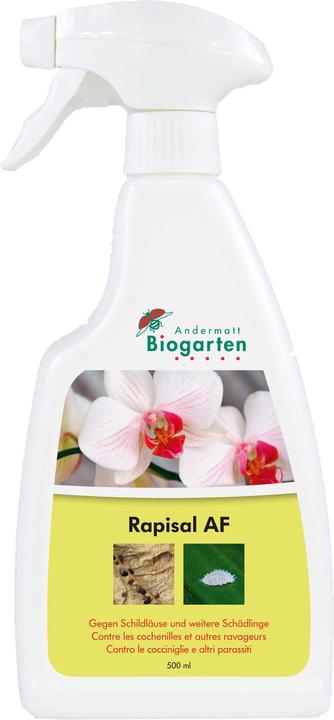 Actual product image Andermatt Biogarten Rapisal AF (Scale insects, Pearleaf Sucker, Red spider mites, Boxwood leaf flea, Thunderbug, Cyclades, White Flies, Aphids)
