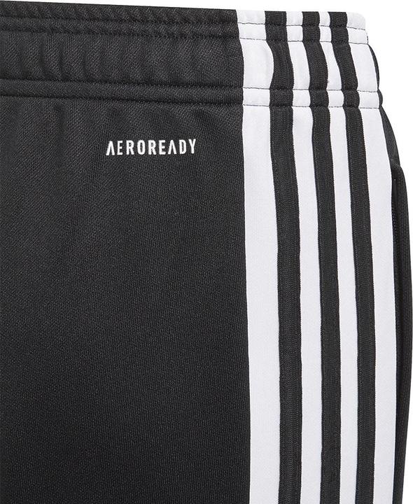 Actual product image adidas Squadra 21 Training Pants Kids (176)