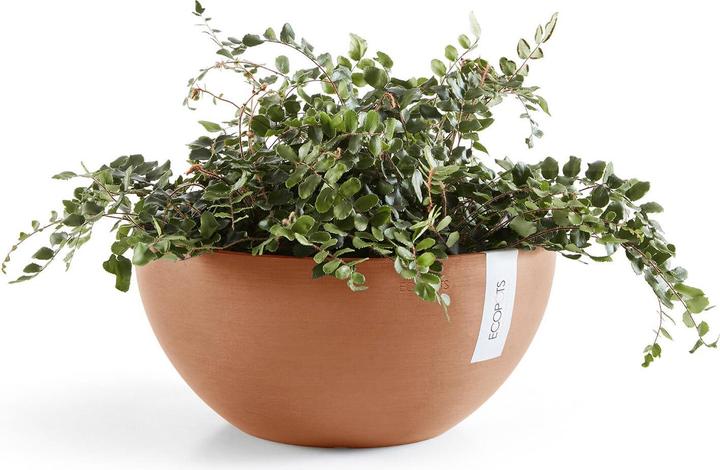 Immagine prodotto Ecopots Bruxelles