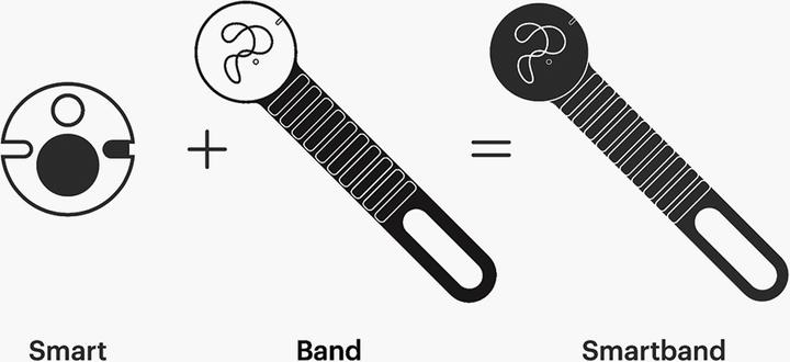 Actual product image Playfinity Jump Games Flex Band Kids