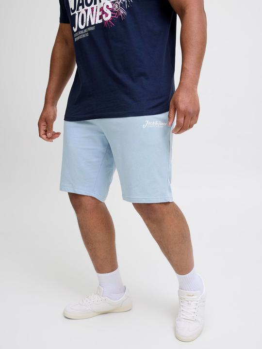 Produktbild Jack & Jones Plus Size Regular Fit Regular Fit Shorts Regular Fit Shorts (42)