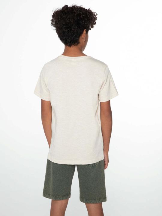 Actual product image Protest Shorts Orlin camo (116)