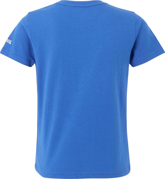 Actual product image Regatta Childrens/Kids Bosley VIII Surf Print T-Shirt (128)