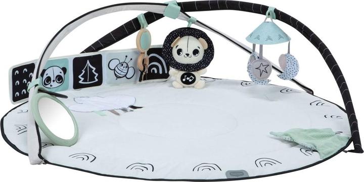 Actual product image Tiny Love Classic