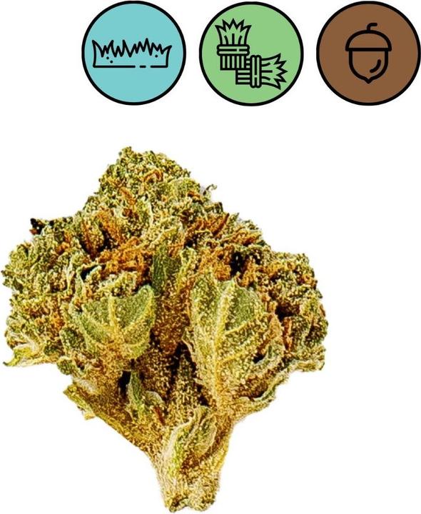 Actual product image SlowWeed Slow Weed Snow White 10g (10 g, Outdoor)