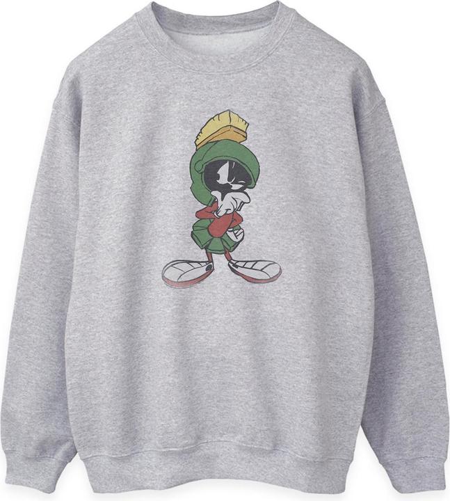 Actual product image Looney Tunes Sweatshirt (M)