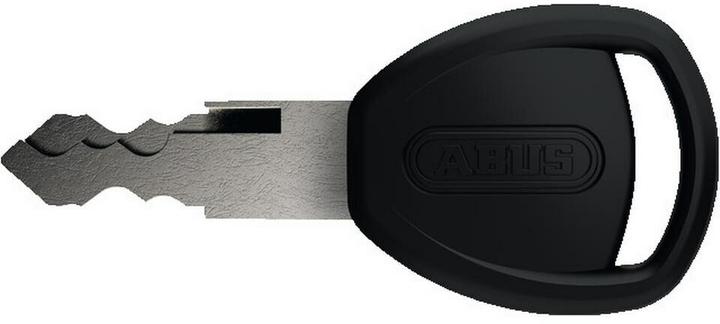 Actual product image Abus Infinity Loop (110 cm)