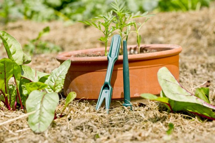 Actual product image Windhager Picking set (15 cm, 2.10 cm)