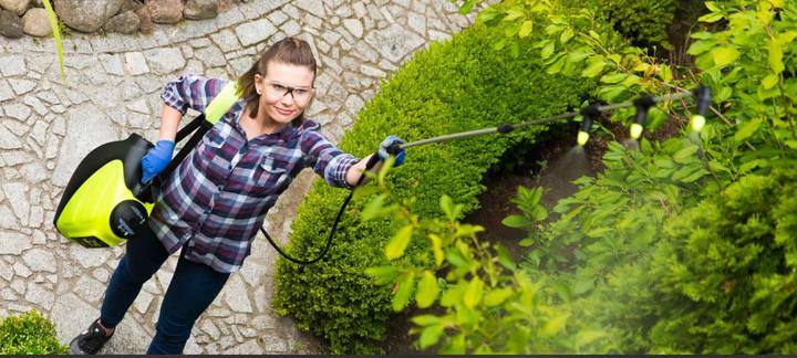 Actual product image Marolex AKKU - High pressure sprayer FX (7 l)