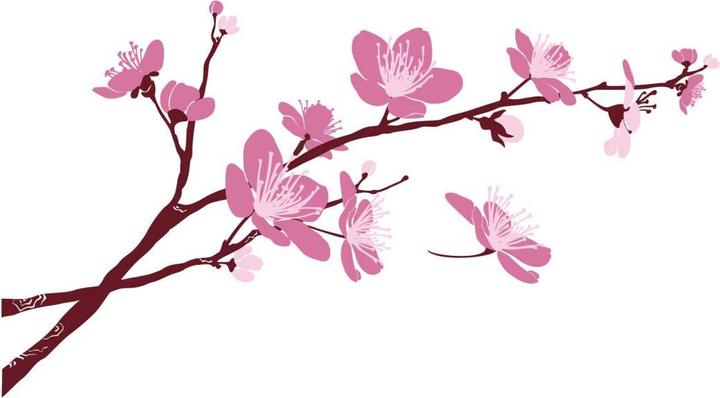 Immagine prodotto Trenddeko Fiori di ciliegio 03 (180 x 99 cm)