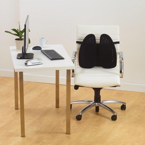 Image du produit Kensington K60412WW Support dorsal réglable SmartFit