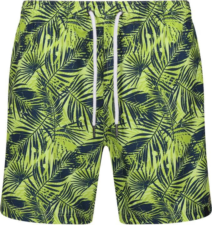 Verde brillante