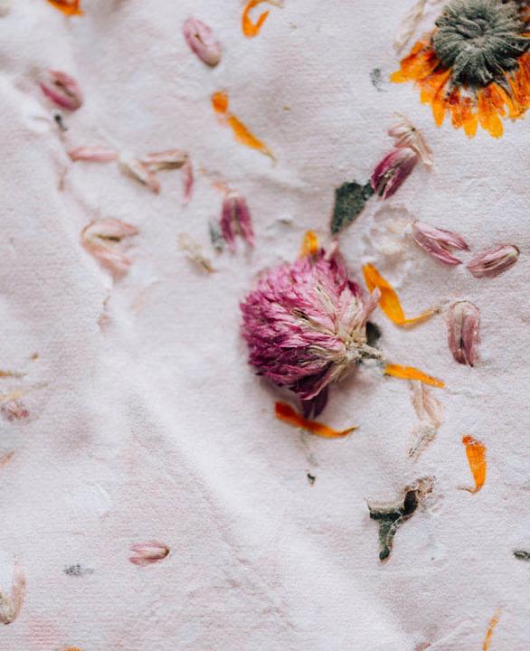 Actual product image Creativ Company Pressed (Dried flowers)