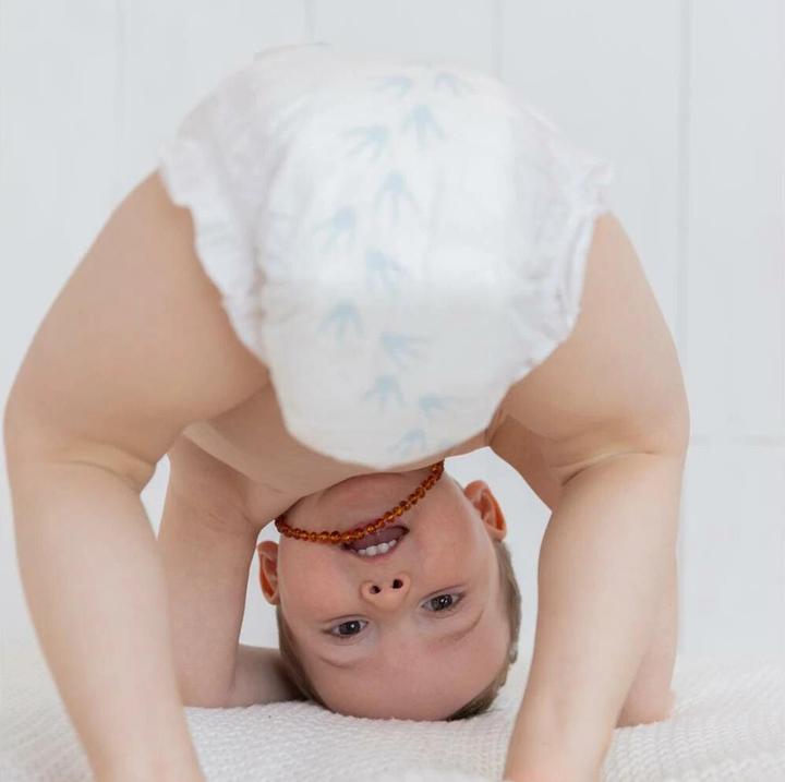 Actual product image Pingo Eco diapers (Size 6, Monthly box, 192 Piece)