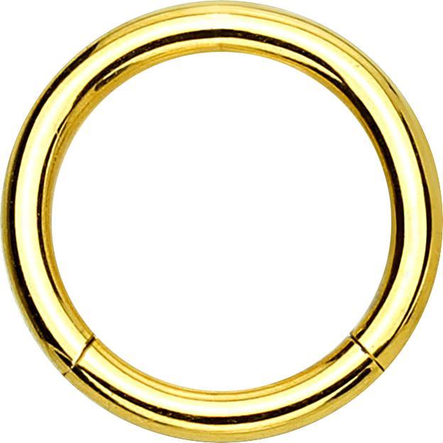 Produktbild Star Piercing Segmentring klappbar vergoldet (Titan G23, ohne Messing)