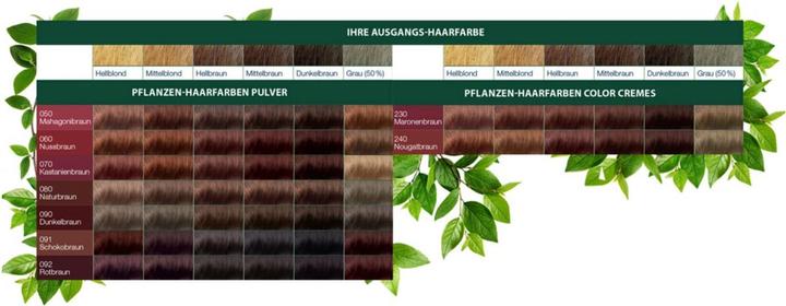 Immagine prodotto Logona Polvere di colore per capelli vegetali (070 marrone castagna)