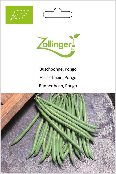 Produktbild Zollinger Bio Buschbohne, Pongo (Pflanzensamen)