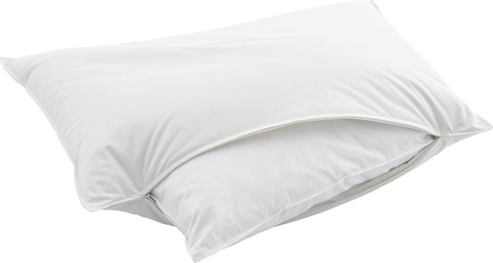 Image du produit Swiss Dream by billerbeck CLC 90 Oreiller de la nature (50 x 90 cm)