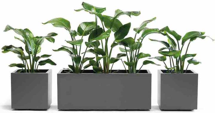 Produktbild Euro3plast Greener Kebe (39.50 cm)