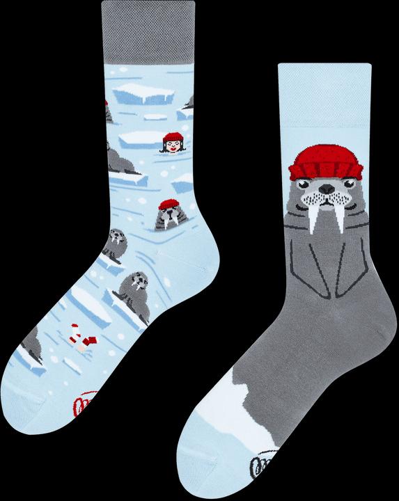 Produktbild Many Mornings The Walrus (Einzelpack, 43 - 46)