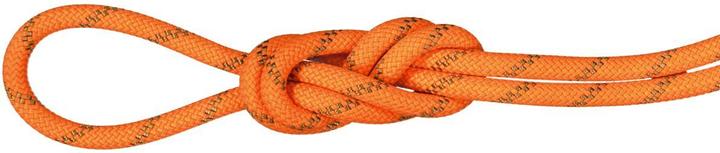 Actual product image Mammut 8.0 Alpine Dry climbing rope (60 m)