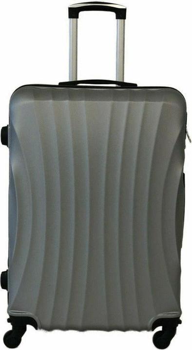 Actual product image Trolleymax Trolleymaxx Travel Case Silver (L (90 - 115l))