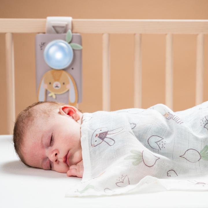 Image du produit Taf Toys Ensemble bébé apaisant lapin