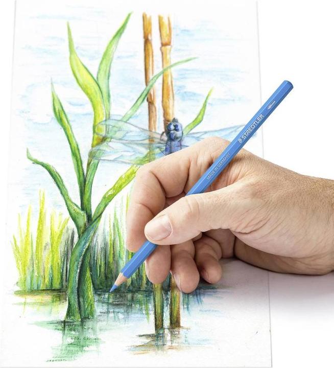 Image du produit Staedtler 146 10C stylo couleur à peinture à peinture à l'eau, carton, 48 pièces, triées (Multi, 48 x)