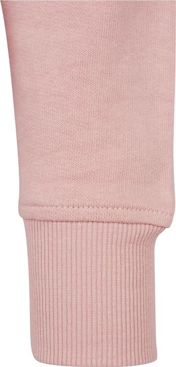 Image du produit Urban Classics Ladies Oversized Terry Hoody (XS)