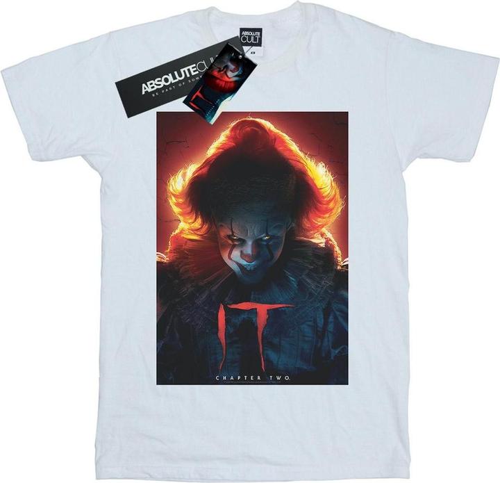 Actual product image Universal Textiles Womens/Ladies Pennywise Poster Cotton Boyfriend T-Shirt (XL)