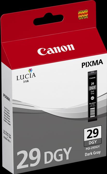 Produktbild Canon Pgi-29dgy (DGY)